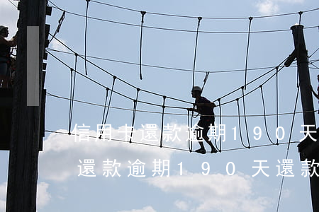 信用卡還款逾期190天還款順序-信用卡還款逾期190天還款順序是什么