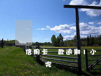 信用卡還款逾期1小時(信用卡還款逾期1小時還完)