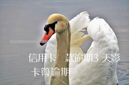 信用卡還款逾期3天影響嗎(超過兩天還信用卡算逾期嗎)