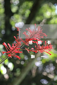 信用卡還款逾期一個月要緊嗎 信用卡還款逾期一個月要緊嗎嗎