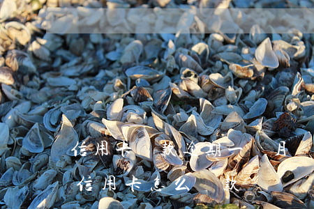 信用卡還款逾期一個月還多少天(逾期很久的信用卡怎么還款)