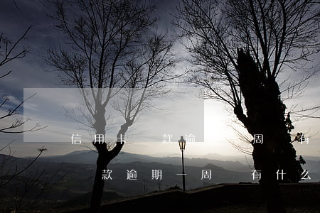 信用卡還款逾期一周會有什么后果-信用卡還款逾期一周會有什么后果嗎