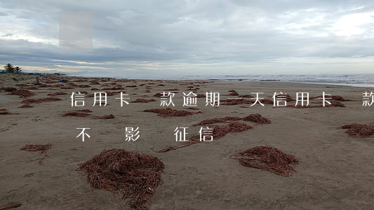 信用卡還款逾期一天(信用卡還款逾期一天會不會影響征信)