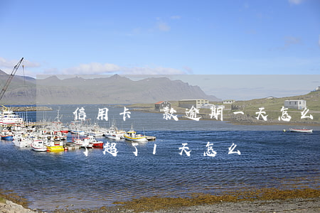 信用卡還款逾期一天怎么辦(信用卡還款日到了超了1天怎么辦)