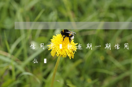 信用卡還款逾期一期(信用卡還款逾期一期怎么還)