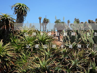 信用卡還款逾期一次怎么補(bǔ)救-忘記還信用卡逾期了一天怎么辦