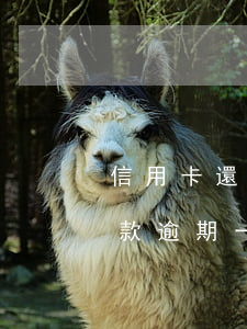 信用卡還款逾期一次有什么影響-信用卡還款逾期一次有什么影響嗎