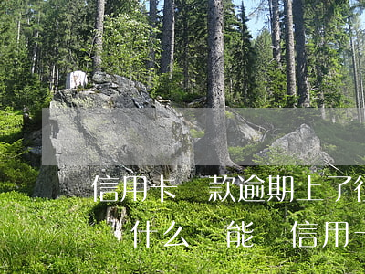 信用卡還款逾期上了征信怎么辦(征信有逾期為什么還能辦信用卡)