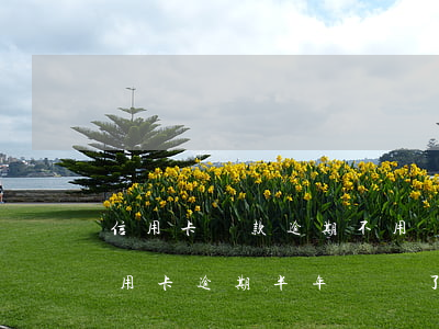 信用卡還款逾期不用還了會怎樣-為什么信用卡逾期半年錢還了怎么還能用