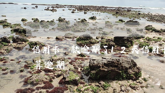 信用卡還款逾期了12天(信用卡7天后再還算逾期嗎?)