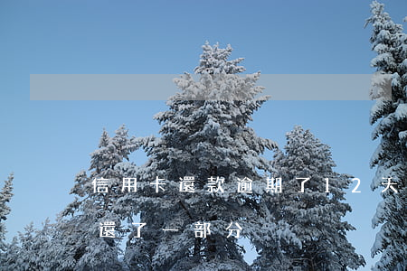 信用卡還款逾期了12天(信用卡逾期十幾天還了一部分)