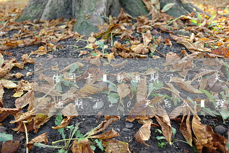 信用卡還款逾期了20天怎么辦(信用卡還款逾期了20天怎么辦理)