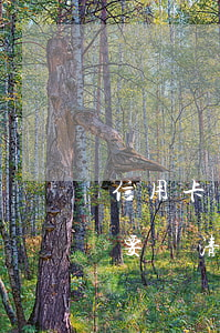 信用卡還款逾期了3個月(信用卡逾期三個月要還清全部款嗎)