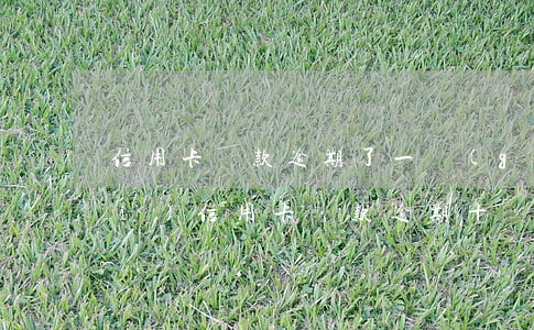 信用卡還款逾期了一個(gè)小時(shí)(信用卡還款逾期十幾分鐘)
