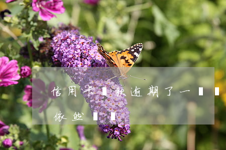 信用卡還款逾期了一塊錢(信用卡逾期但每月依然還錢)