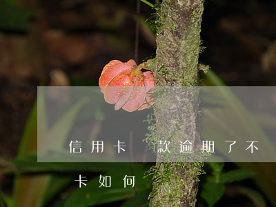 信用卡還款逾期了不給還怎么辦(逾期了信用卡如何還)