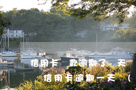 信用卡還款逾期了兩天會(huì)怎么樣(還信用卡逾期一天會(huì)怎么樣)