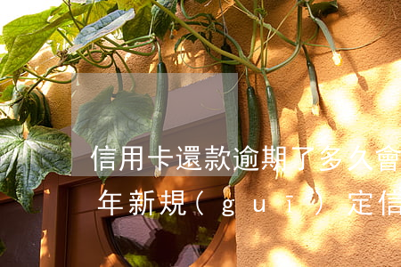 信用卡還款逾期了多久會(huì)起訴 今年新規(guī)定信用卡逾期多久會(huì)起訴