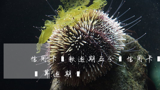信用卡還款逾期五分鐘(信用卡還款逾期五分鐘算逾期嗎)
