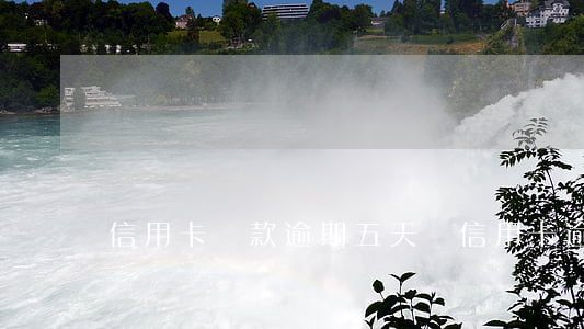 信用卡還款逾期五天(還信用卡逾期一天)
