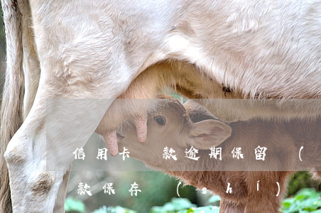 信用卡還款逾期保留時(shí)間(逾期還款保存時(shí)間)