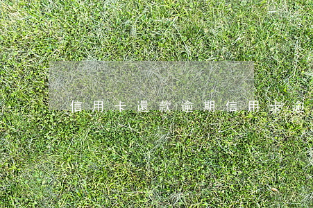 信用卡 還款 逾期（信用卡逾期了感悟怎么寫）