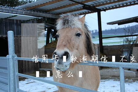 信用卡還款逾期信譽不良-欠信用卡逾期不還會怎么樣
