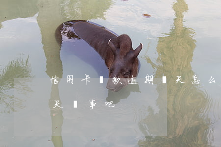 信用卡還款逾期兩天怎么辦(還信用卡逾期一天沒事吧)