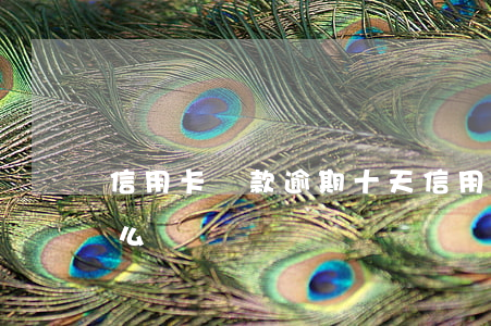 信用卡還款逾期十天 信用卡還款逾期十天怎么辦