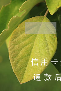 信用卡還款逾期十天有什么后果(逾期10天還款后果)