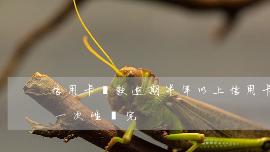 信用卡還款逾期半年以上(信用卡逾期大半年一次性還完)