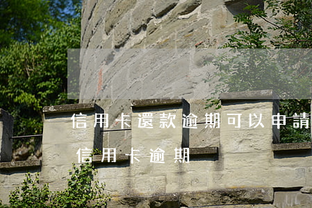 信用卡還款逾期可以申請房貸嗎(還房貸期間信用卡逾期)