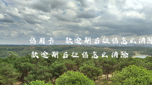 信用卡還款逾期后征信怎么消除-信用卡還款逾期后征信怎么消除記錄
