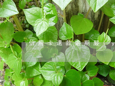 信用卡還款逾期嚴(yán)重是什么意思