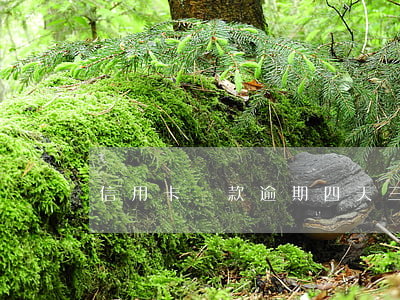 信用卡還款逾期四天三怎么樣