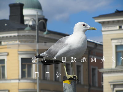 信用卡還款逾期多久不收違約金(信用卡逾期違約金)