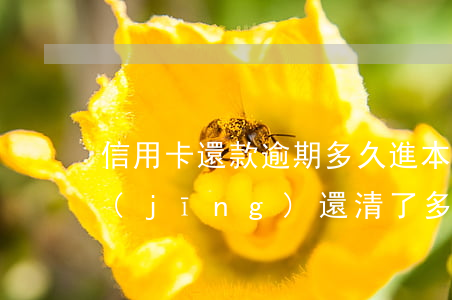信用卡還款逾期多久進本金(貸款逾期過,已經(jīng)還清了多久可以信用卡)