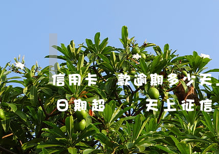 信用卡還款逾期多少天上征信 到信用卡還款日期 超過幾天上征信