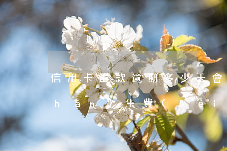 信用卡還款逾期多少天會(huì)產(chǎn)生費(fèi)用-信用卡還款逾期多少天會(huì)產(chǎn)生費(fèi)用呢