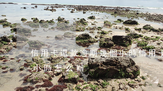 信用卡還款逾期幾個小時(信用卡逾期了幾個小時怎么辦)