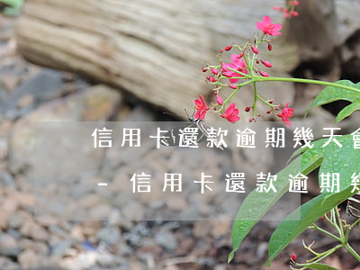 信用卡還款逾期幾天會(huì)上征信嗎-信用卡還款逾期幾天會(huì)上征信嗎會(huì)影響孩子嗎