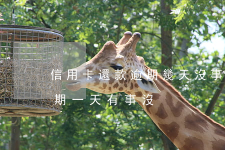 信用卡還款逾期幾天沒事(信用卡忘記還款逾期一天有事沒?)