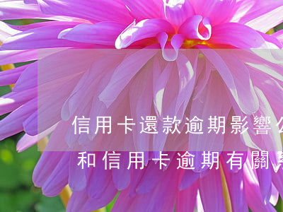 信用卡還款逾期影響公積金嗎(交住房公積金和信用卡逾期有關系嗎?)