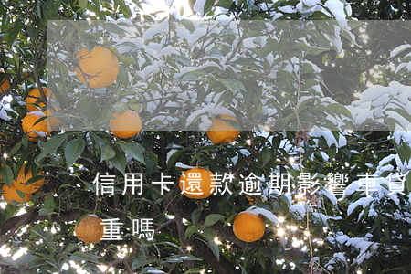 信用卡還款逾期影響車貸么(車貸逾期后果嚴重嗎)