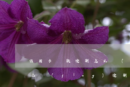信用卡還款逾期怎么協(xié)商還款-已經(jīng)逾期的信用卡,該如何與銀行協(xié)商暫緩還款