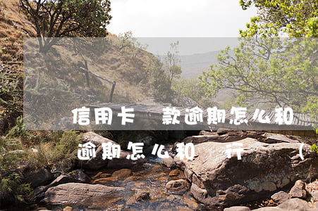 信用卡還款逾期怎么和銀行說-信用卡還款逾期怎么和銀行說協(xié)商
