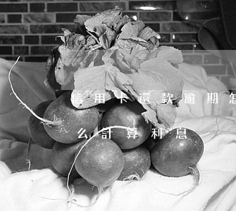 信用卡還款逾期怎么計算(信用卡還款逾期怎么計算利息)