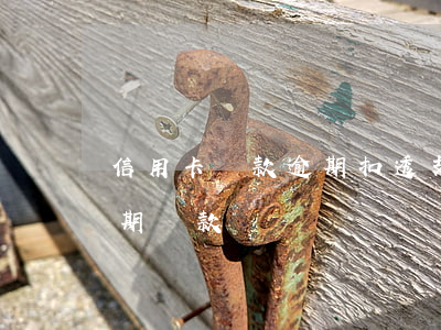 信用卡還款逾期扣透支利息(什么叫信用卡逾期還款)