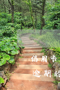 信用卡還款逾期收違約金(被拘留期間信用卡逾期的利息違約金)