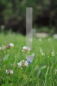 信用卡還款逾期會(huì)影響房貸(房貸逾期會(huì)影響信用卡嗎)